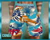 🔆C-BEACH SHORTS