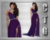 CTG EVENING SKY GOWN