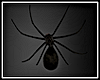 *N* Creepy Wall Spider