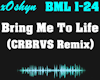 Bring Me To Life - Remix