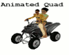 Quad Animated Vehicles