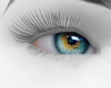 Sexy  colors Eyes