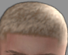 Sert Blond Haircut