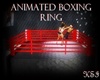 kung fu fighting ring