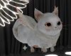 📗 Cat Fly Pet F 2