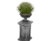 pedestal with flowers g