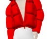 Street Sentinel Puffer-R