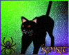 *S* Spirit the Cat