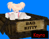 Furry 'Bad Kitty' Box