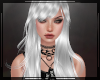 + Winifred Chrome Retire