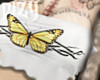 Monarch Butterfly Crop