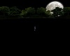 MOONLITE WEDDING LOT