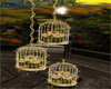 gold bird cages