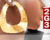 2G3. HOT & GOLD-EARRINGS