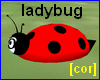 [cor] Ladybug