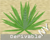 NY|Derivable Agave plant