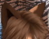 Akita Ears V3