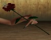 Til Death Rose V3