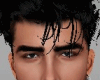 Realistic Head