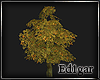 (ED1)Tree-4--Animation