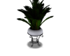 Plant s