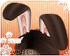 [Pets] Binky | ears v4