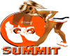 [HH] Summit G-Kickaz