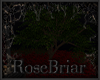 RB| Gothic Romance Tree