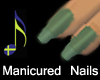 Lt/Khaki green manicure