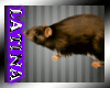 [ML]The Rats