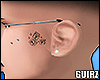 Tattoo Dados
