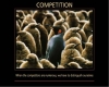 Penguins-Competition