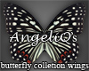 Butterfly wings #6