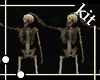 [Kit]Skeleton Dance