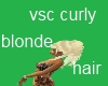 vsc blonde curly hair