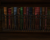 Z.Row of books
