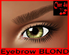 Eyebrow BLOND