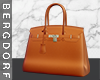 Birkin Bag Decor Orange