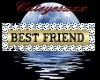 ~D~ Best Friend Sticker