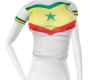 Senegal Maillot