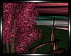 :L: SAKURA BENCHES