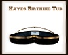 Hayes Birthing Tub