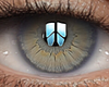 ✔ Eyes