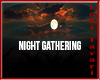 Night Gathering