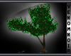 VN *18-Verde Tree