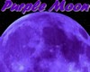 [TT]Purple Moon Room