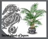 Secret plant of Japon