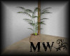MW Potted Palm