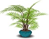 Potted Plant_04
