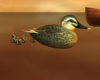 Animated Ducks
